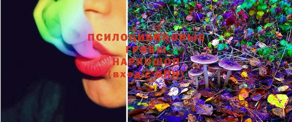 молекула духа Лагань
