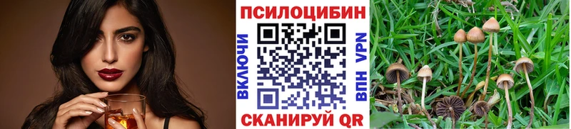 Псилоцибиновые грибы MAGIC MUSHROOMS  Купить закладки  Воркута 